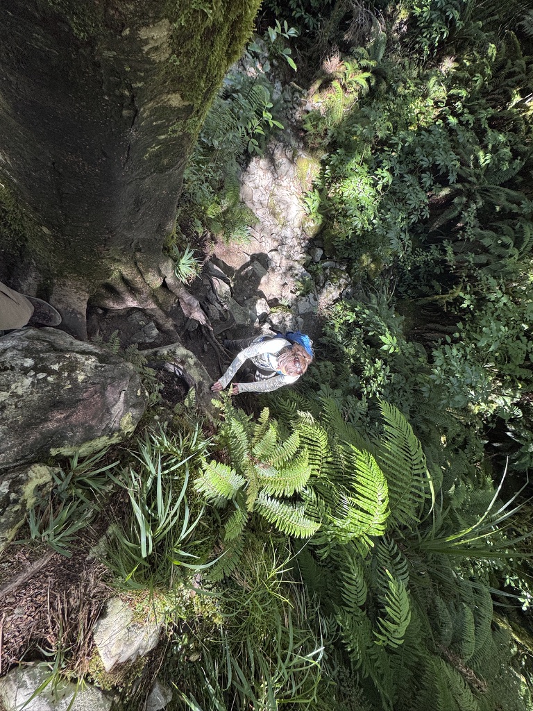 Barb "hiking"